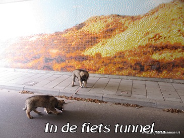 Samen met broerlief in de duurste fietstunnel van Nederland